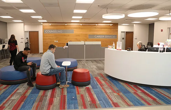 Counseling services