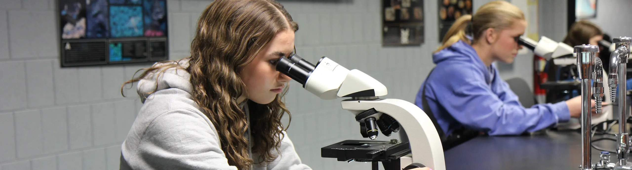 Math and Science Transfer Guides - Lake Land College