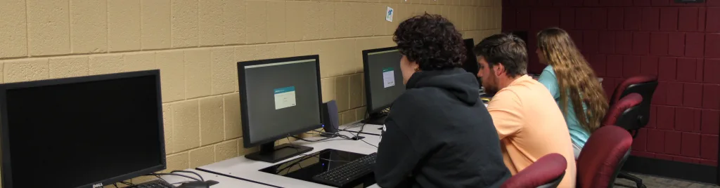 Students sitting at a computer