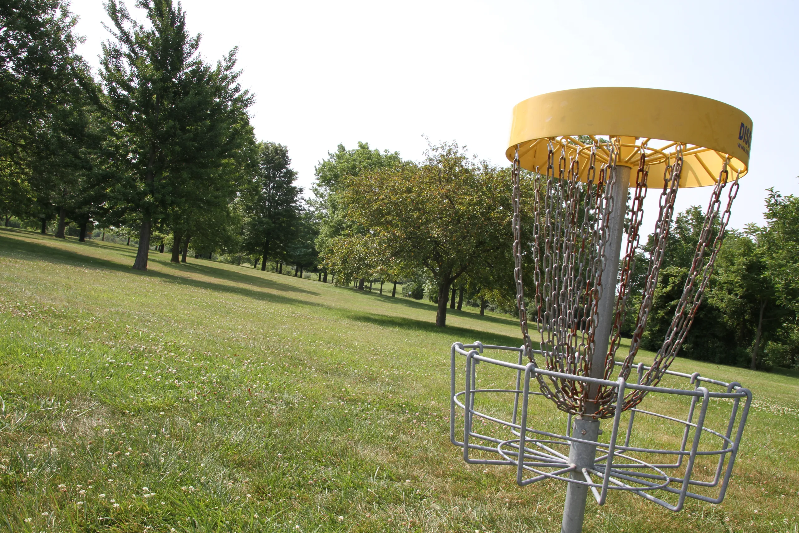 Disc Golf photo