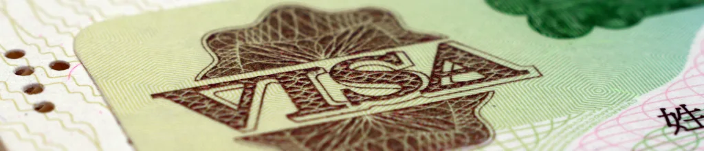 VIsa close up