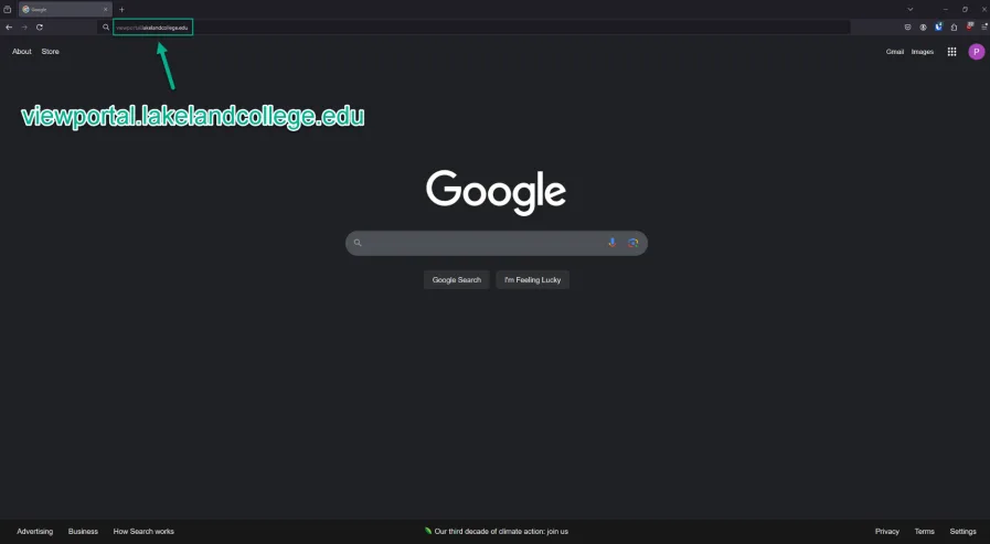 Go to the viewportal website
